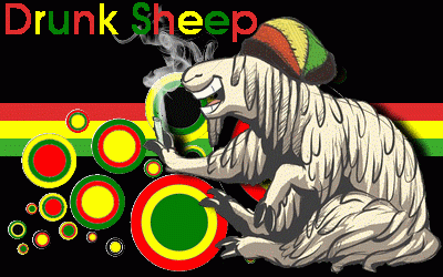 Drunk Sheep